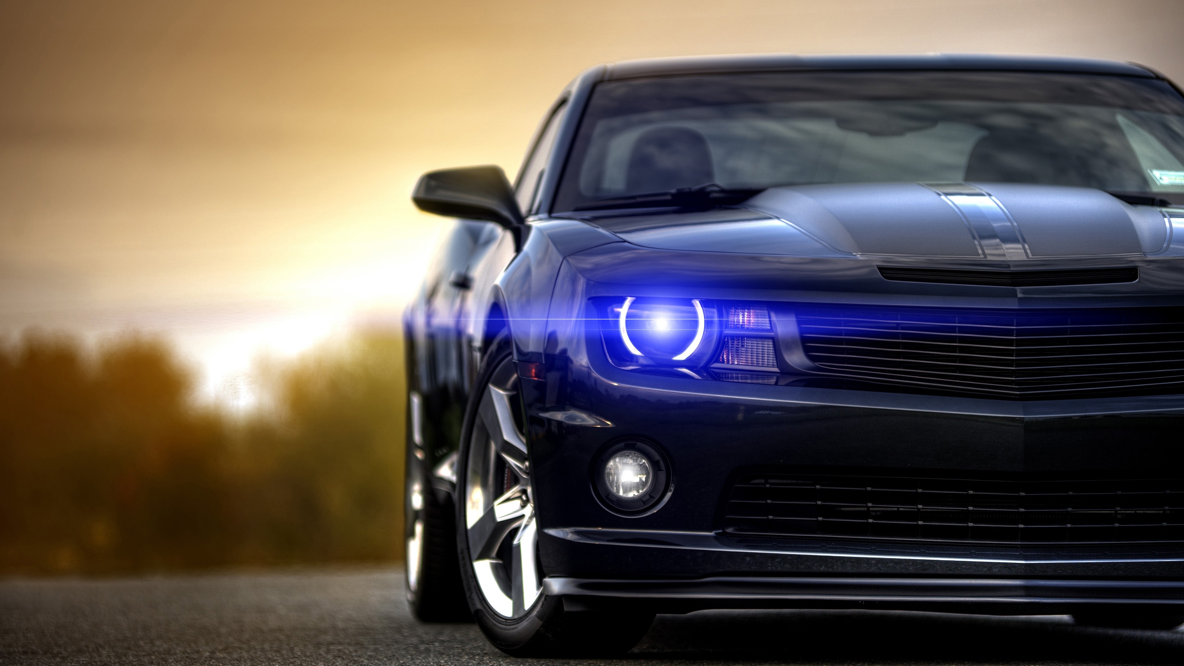 Muscle Car Wallpaper Muscle Cars Cars Wallpapers in jpg format for