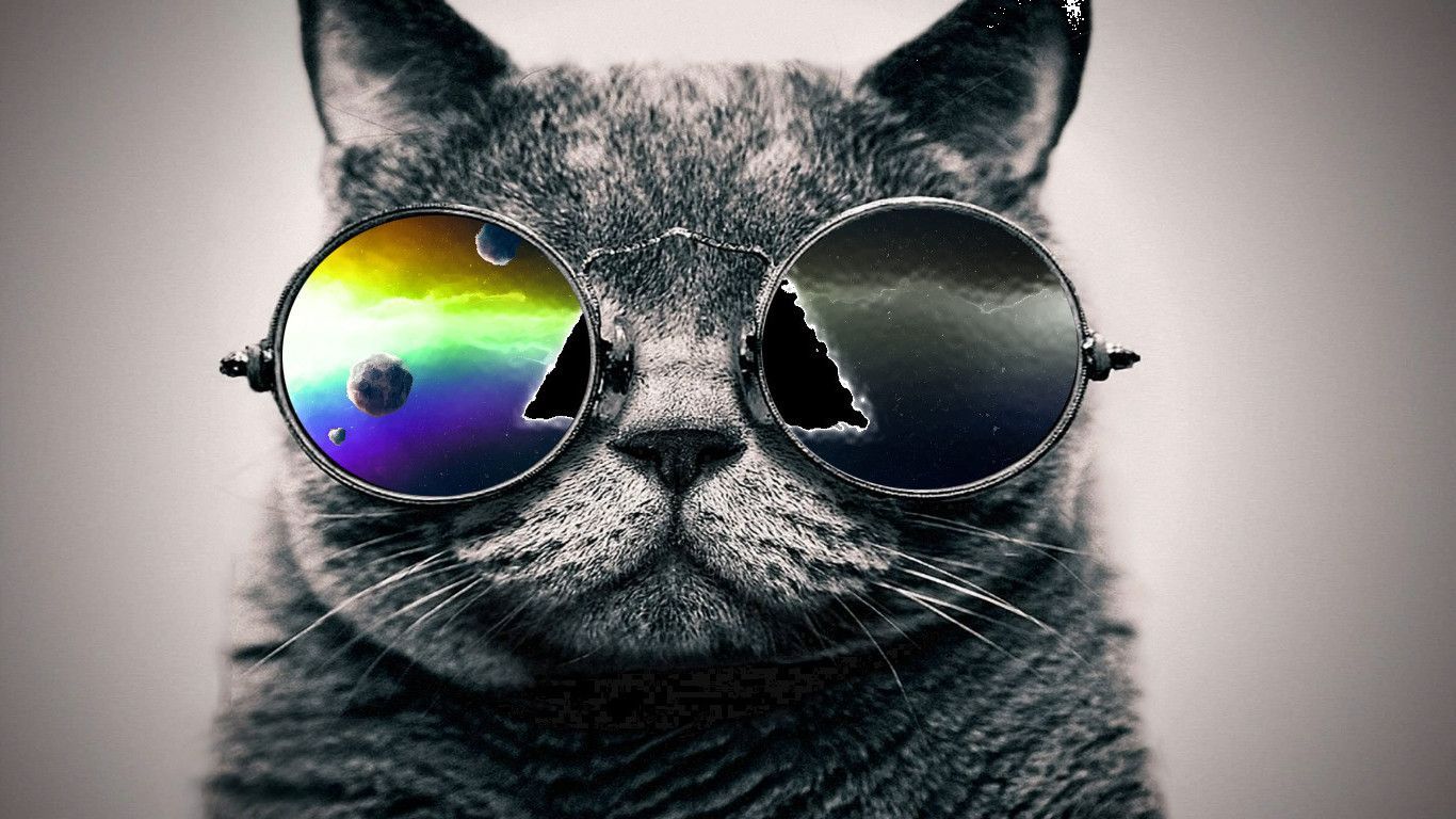 cool cat backgrounds #8