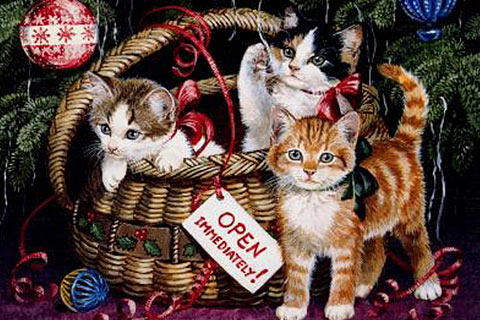cat christmas wallpaper #15