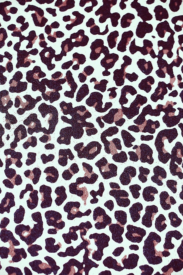 Iphone cheetah wallpaper