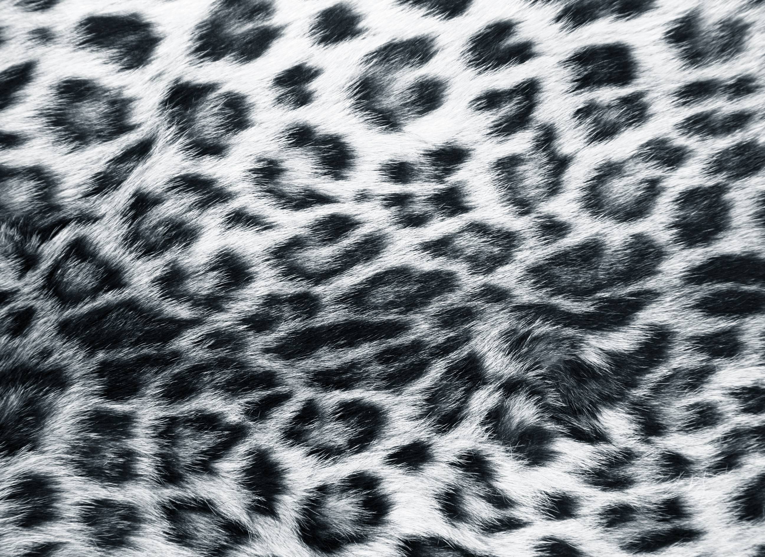 Tiger print wallpaper