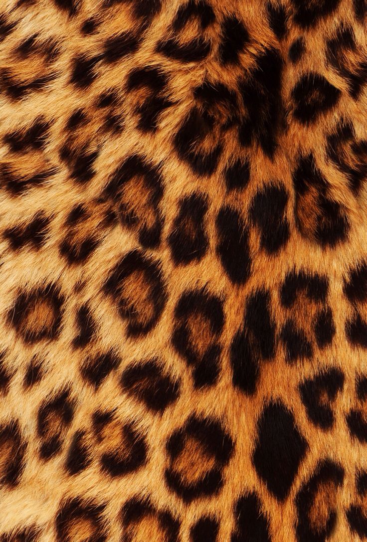 leopard print wallpaper #2