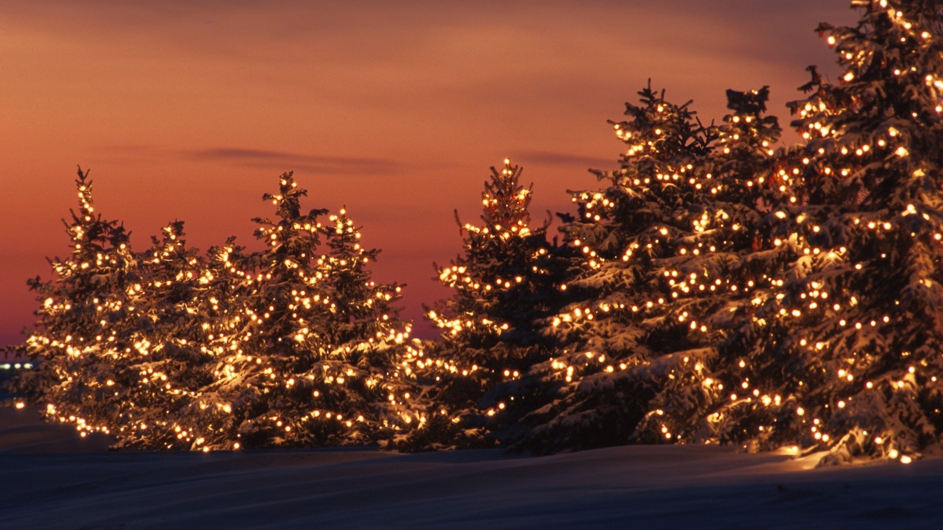 Christmas winter backgrounds
