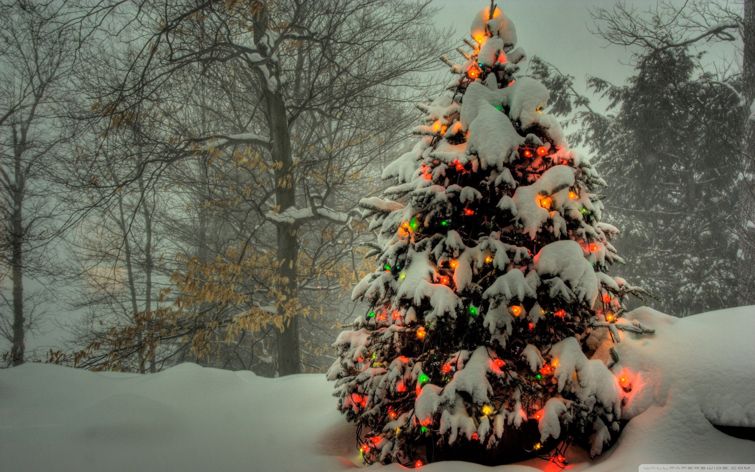 Christmas tree desktop backgrounds