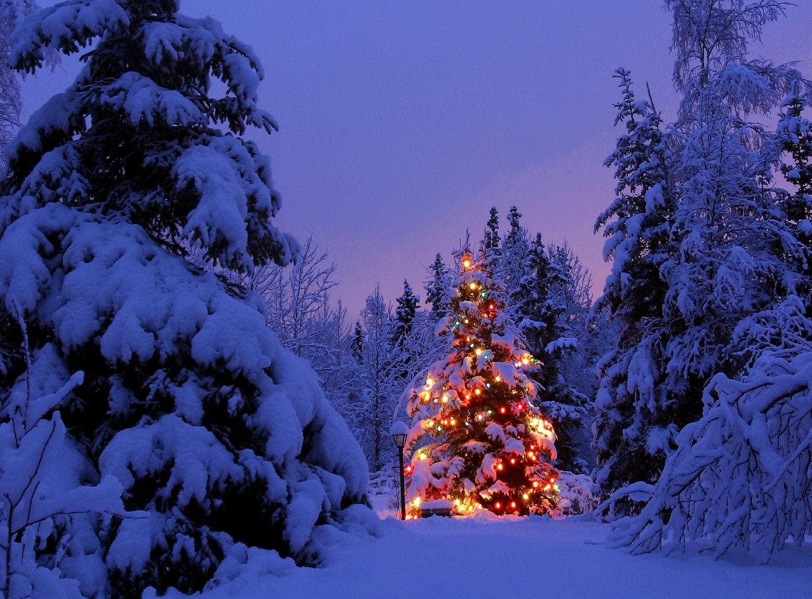 Christmas tree snow wallpaper