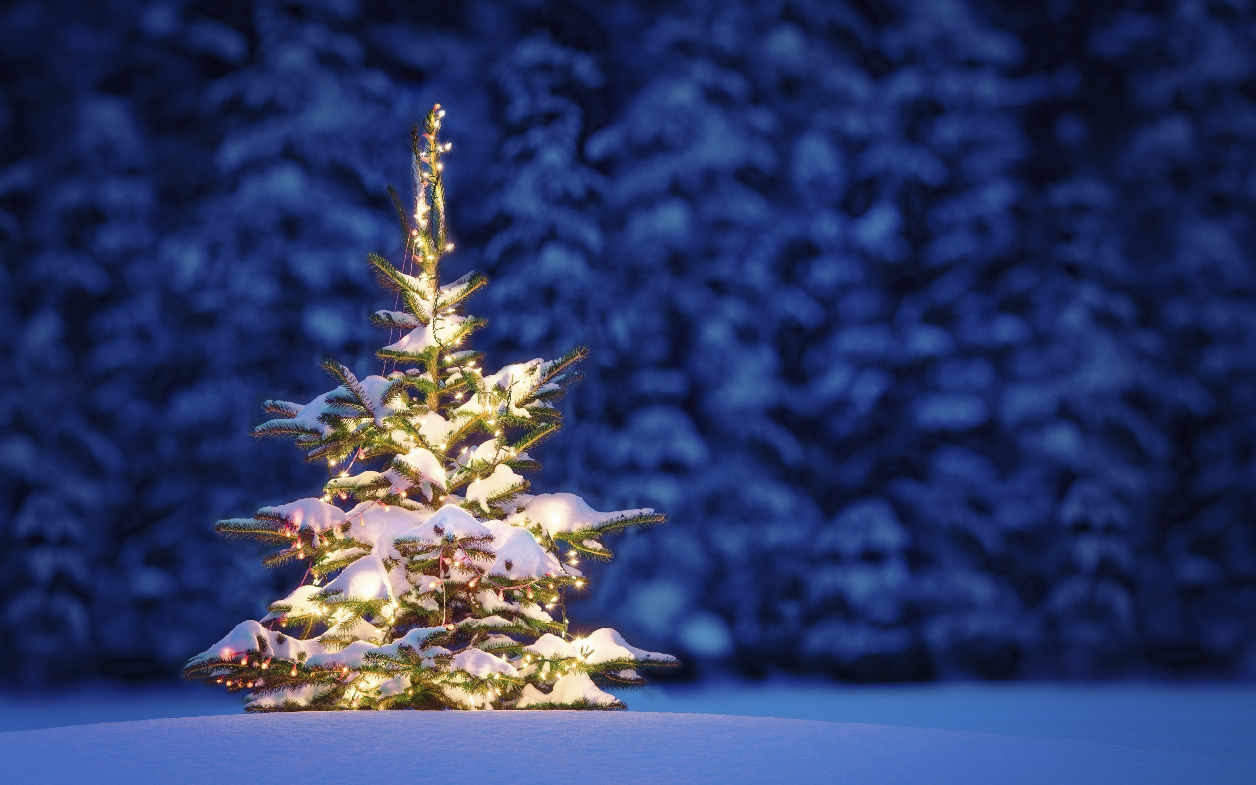 Beautiful Christmas Tree Snow - wallpaper