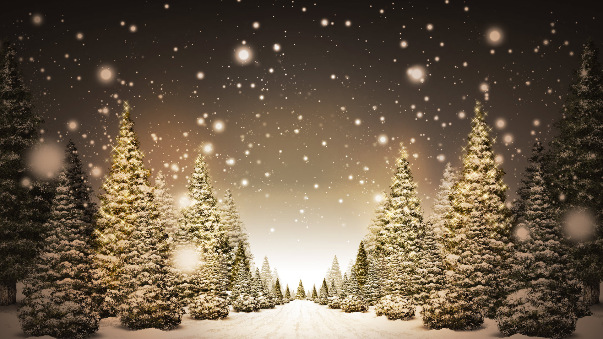 Christmas Trees in Snow HD Wallpaper » FullHDWpp - Full HD