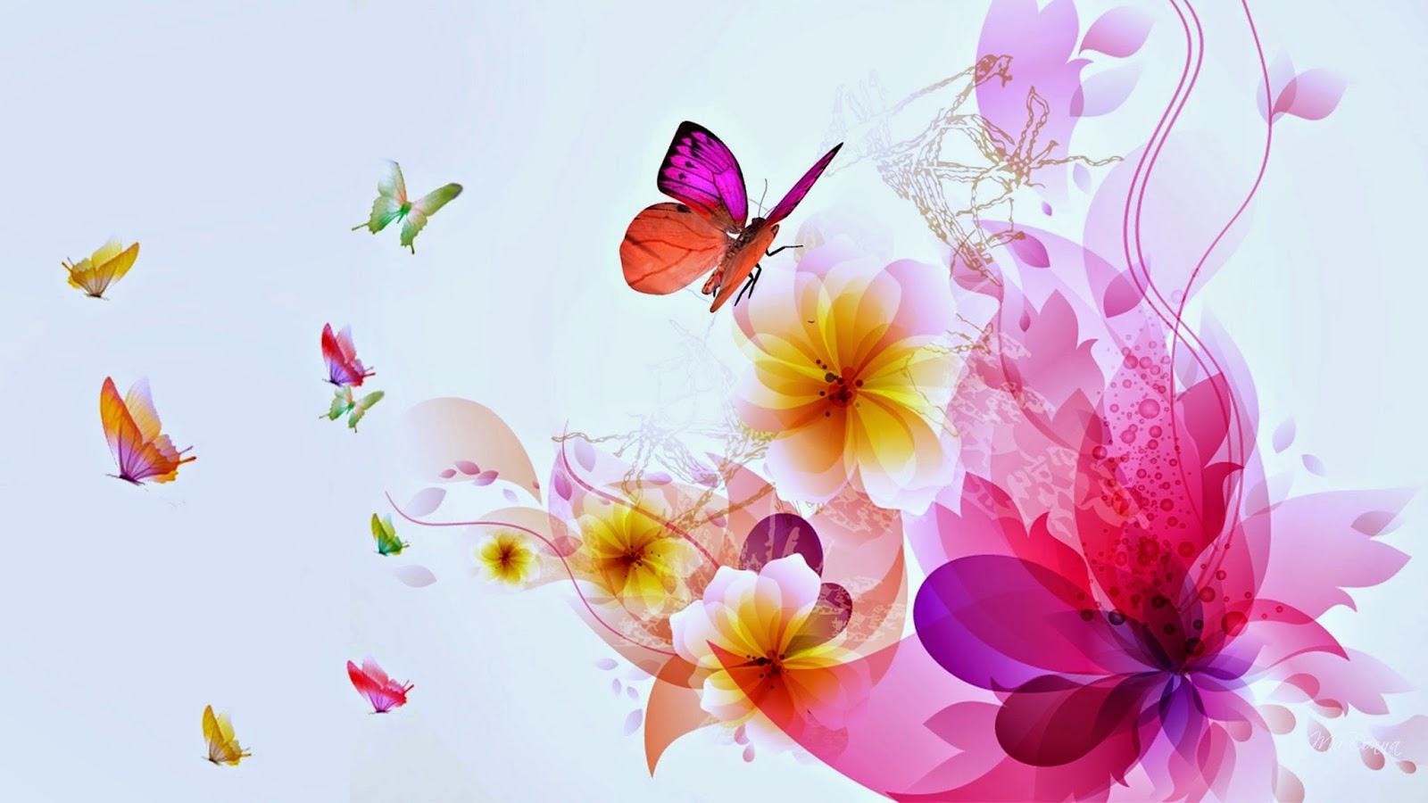 Colorful butterfly backgrounds