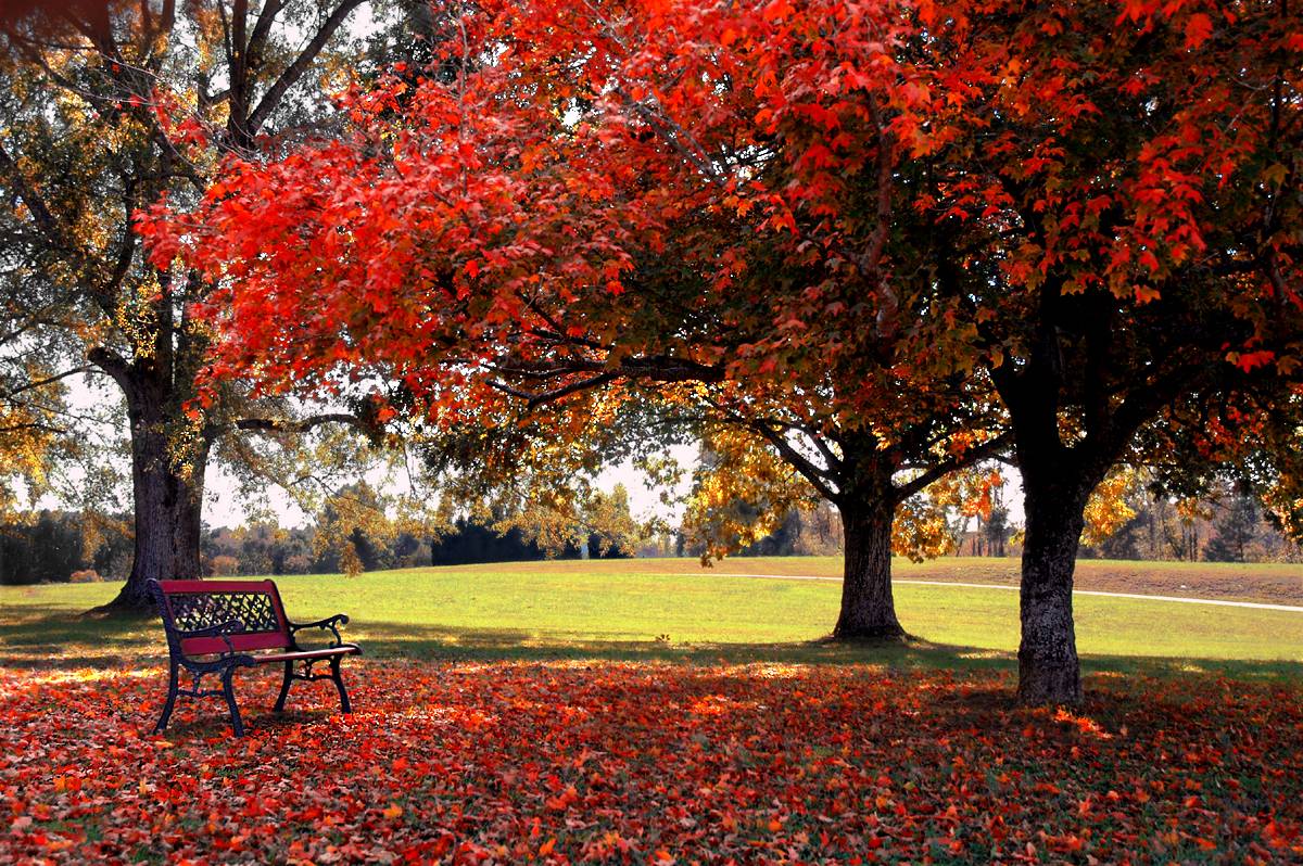 free desktop backgrounds for fall #14