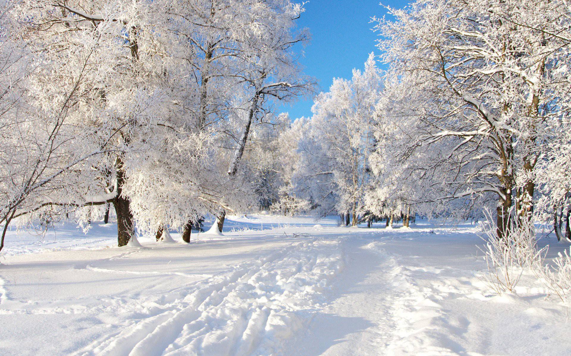 free winter scenes desktop backgrounds #16