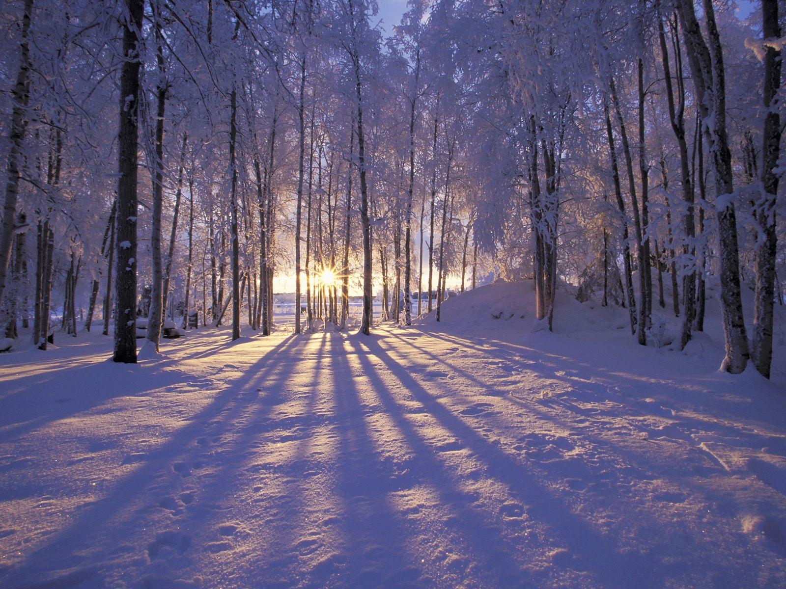 free winter background pictures #22