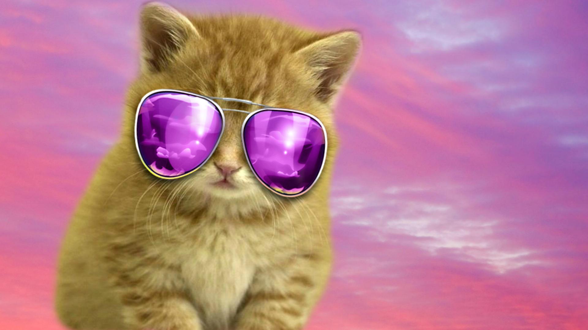 cool cat backgrounds #9