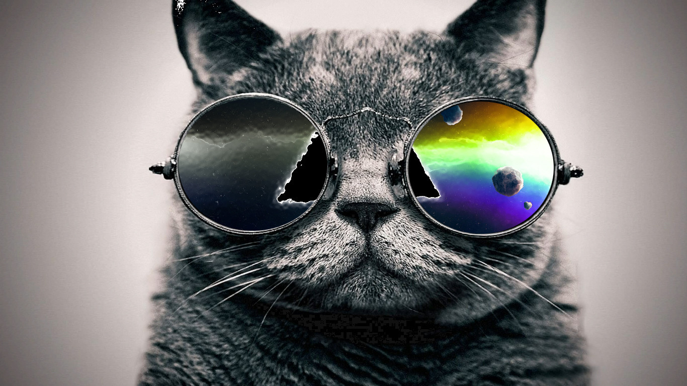 cool cat backgrounds #2