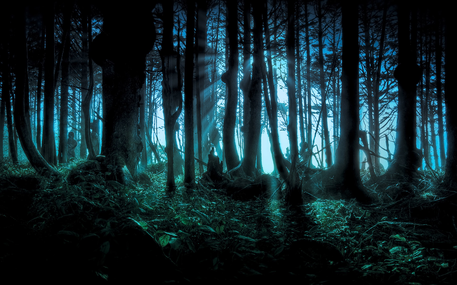 cool forest backgrounds #2