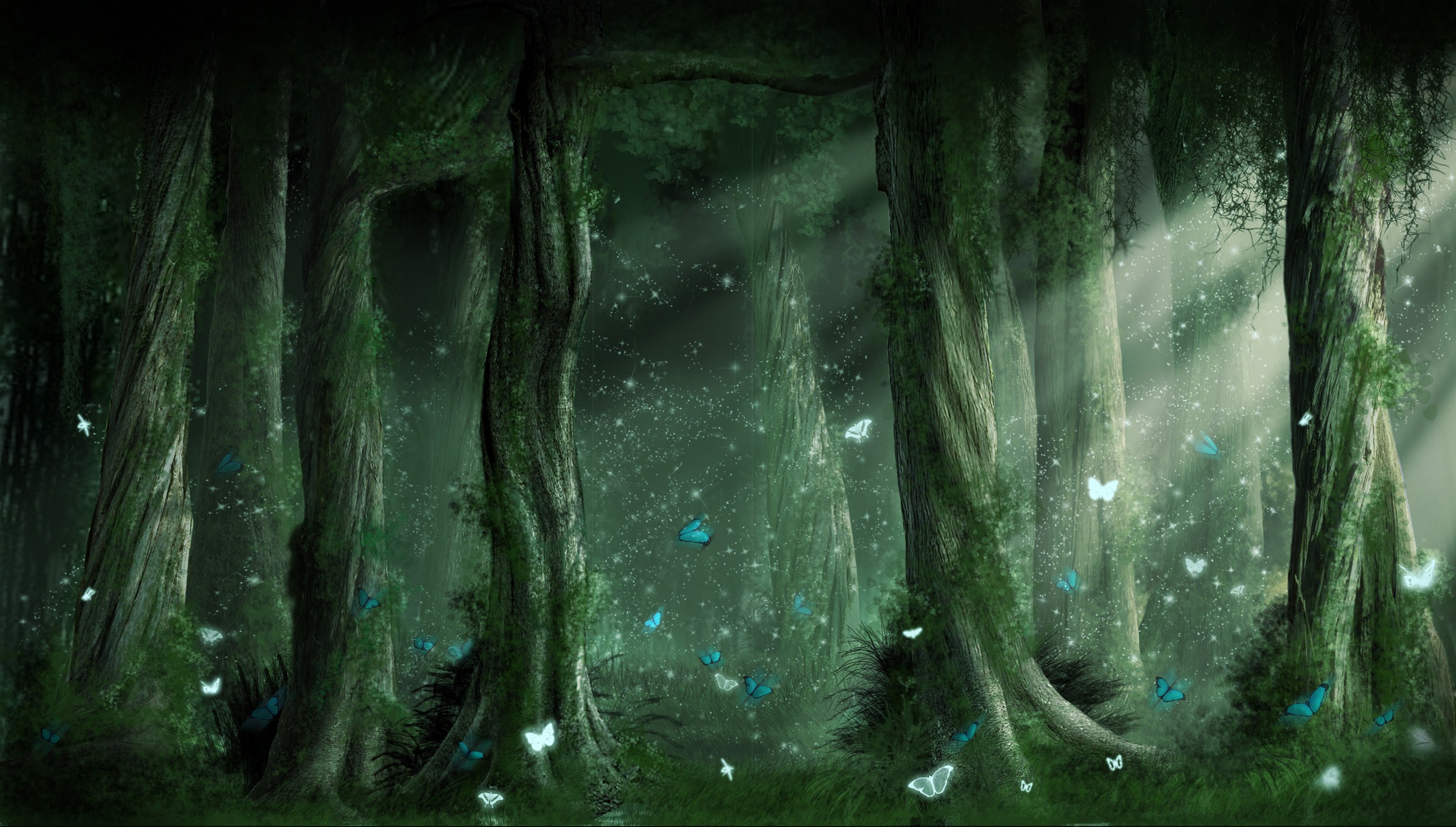 cool forest backgrounds #8
