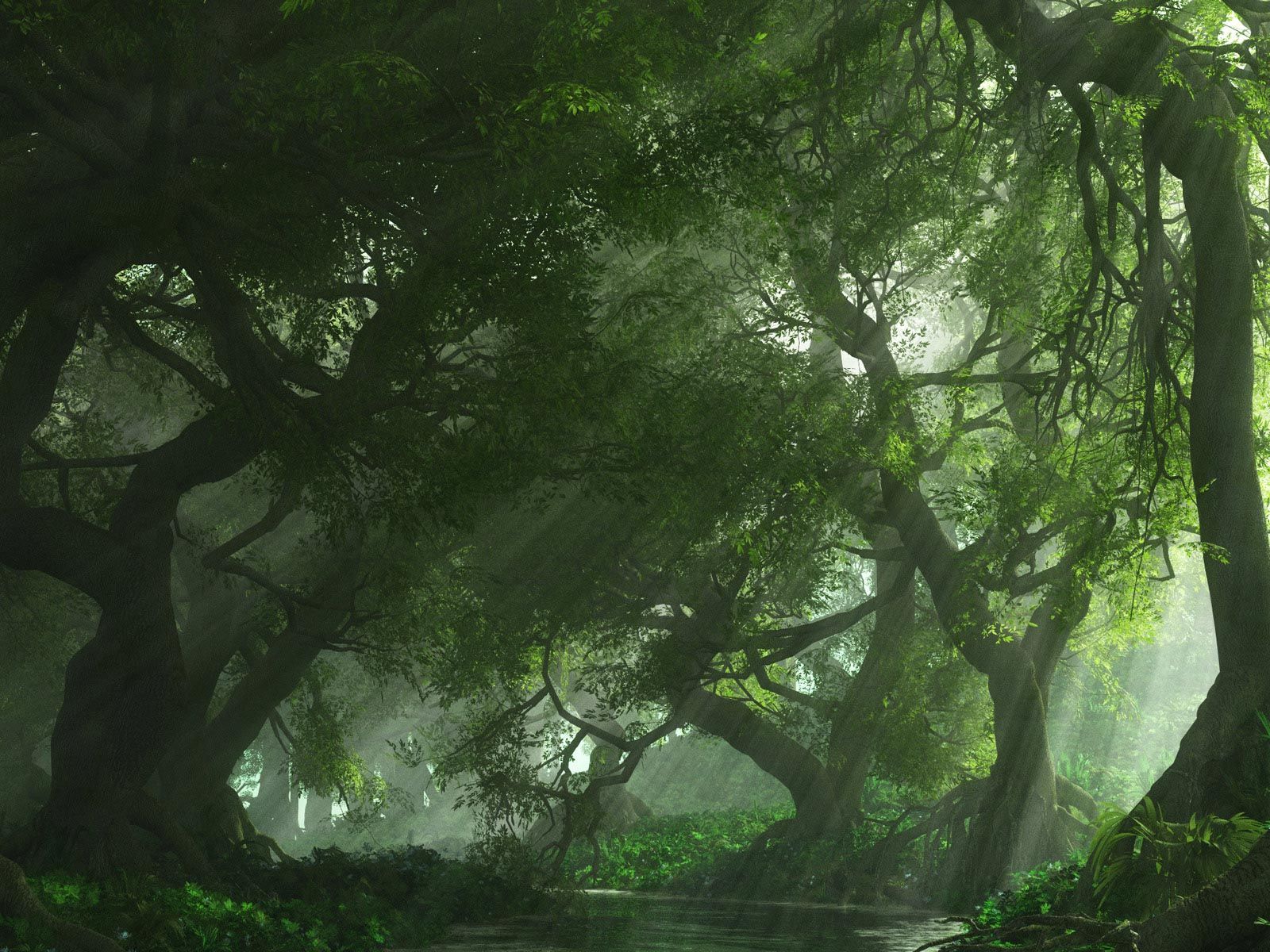 cool forest backgrounds #10