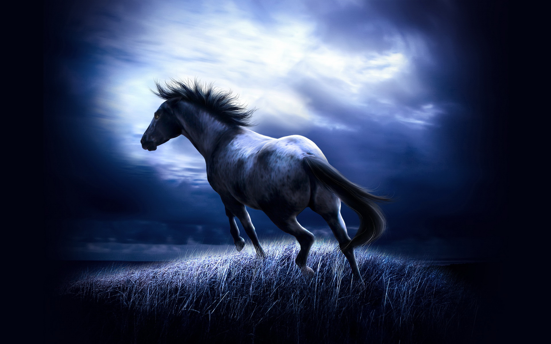 Cool horse backgrounds