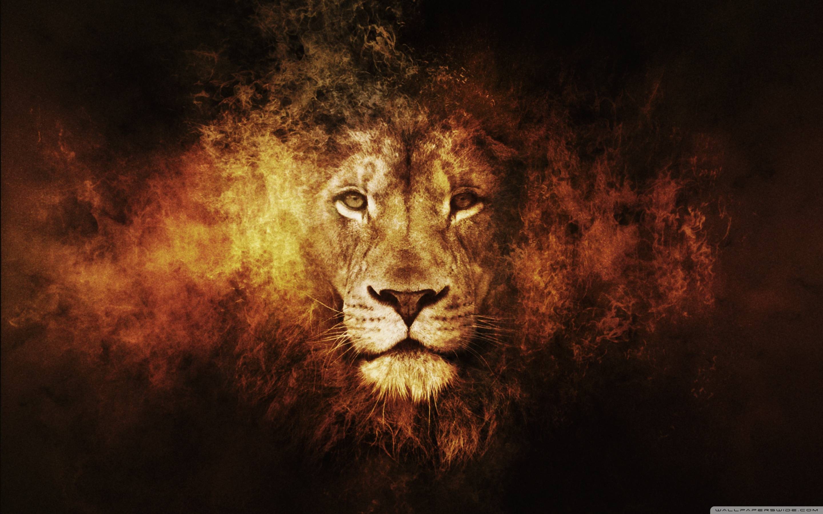 wallpaper of lion #18