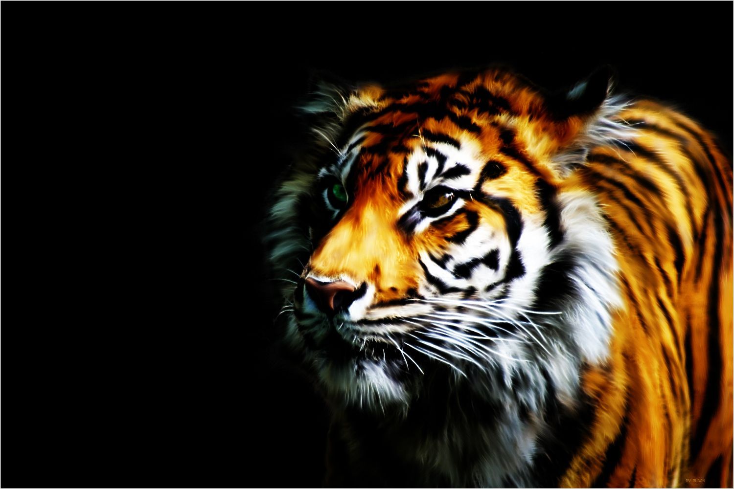 cool tiger backgrounds #7