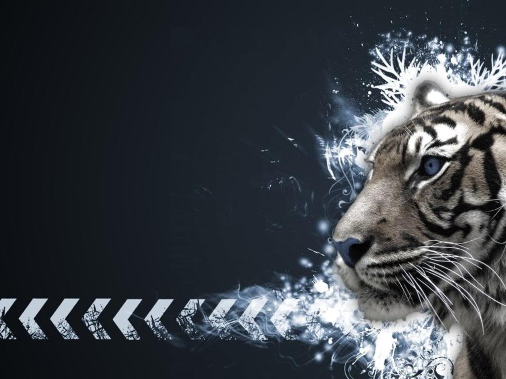 cool tiger backgrounds #9