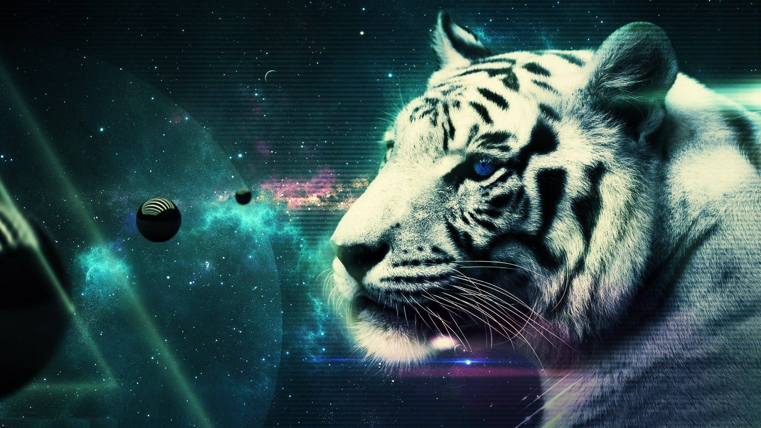 cool tiger backgrounds #21