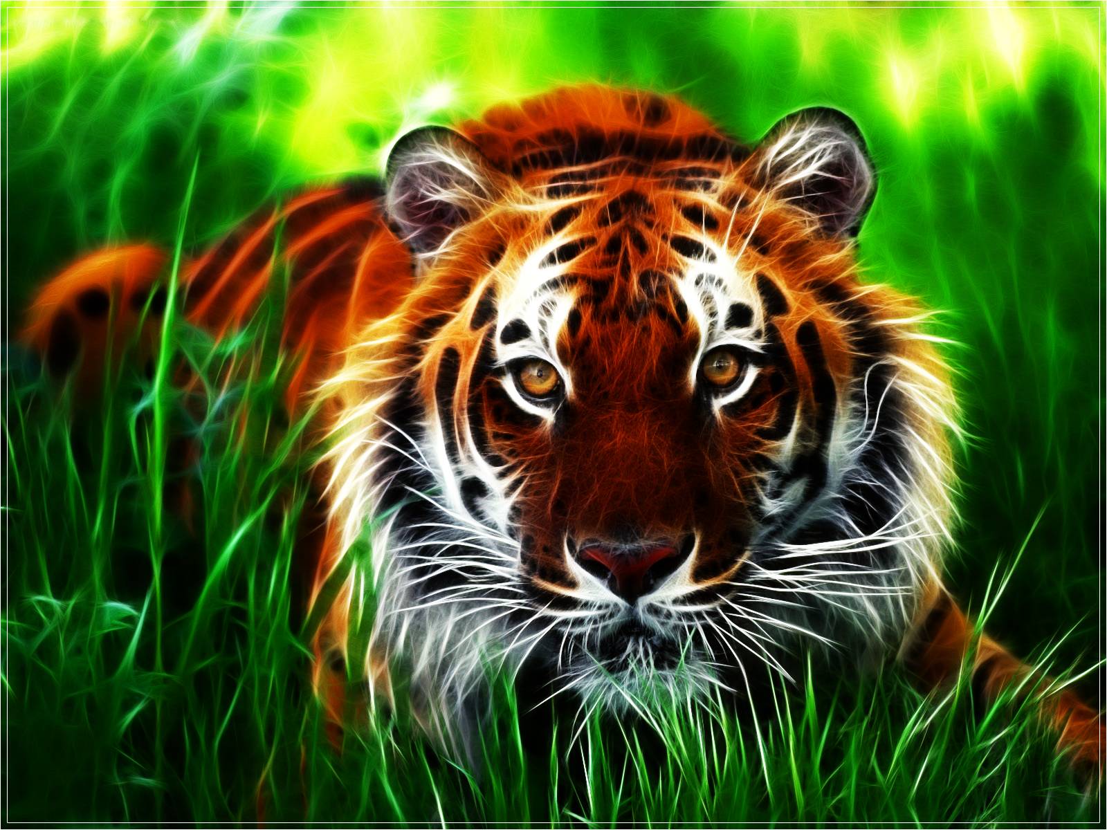 cool tiger wallpapers #7