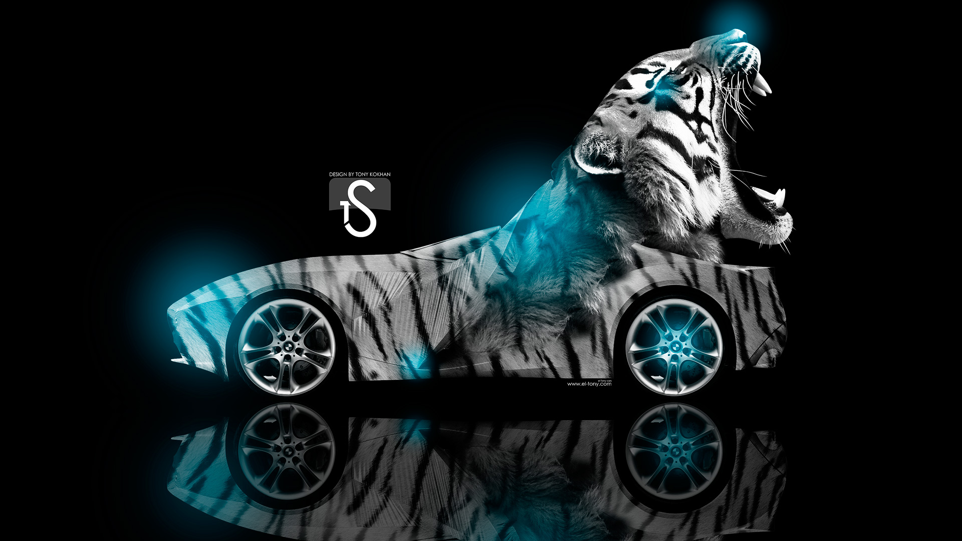 cool tiger wallpapers #24