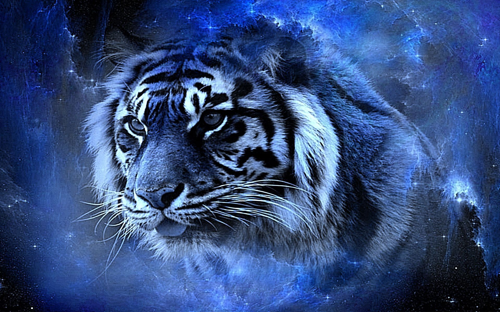 cool tiger wallpapers #18