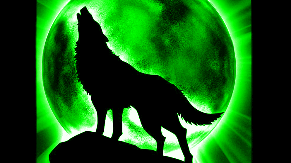 cool wolf backgrounds #20