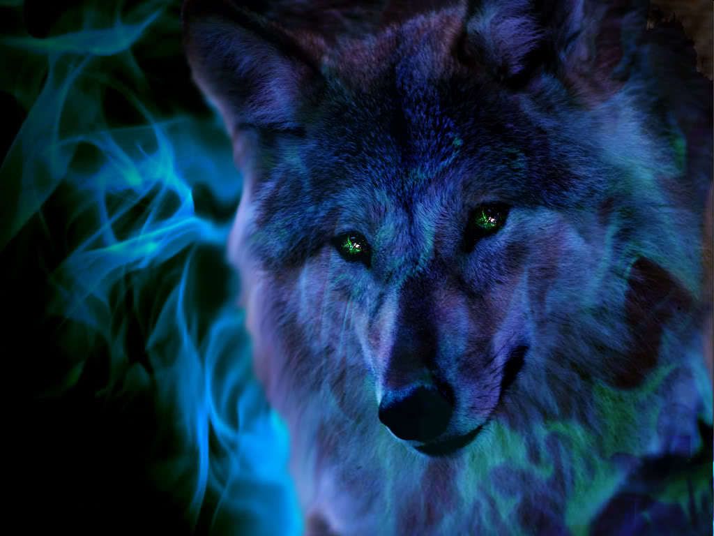 cool wolf backgrounds #15