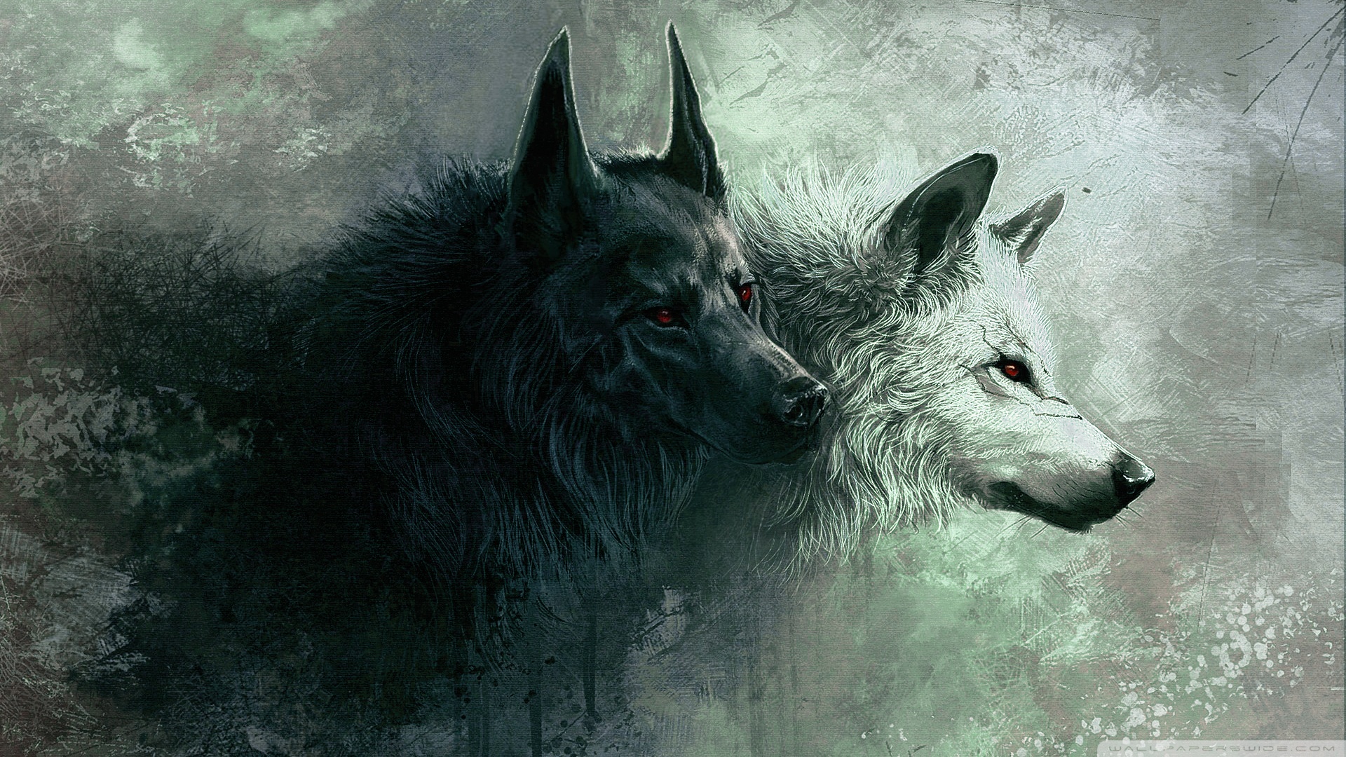 Cool wolf wallpapers