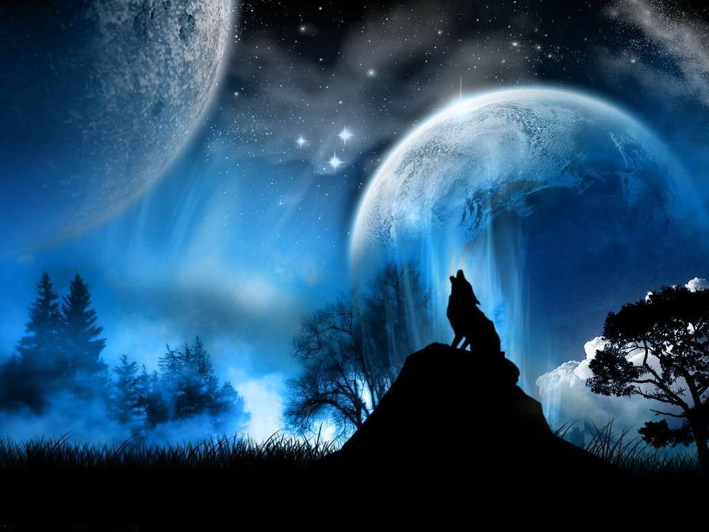 Cool wolf wallpapers - SF Wallpaper