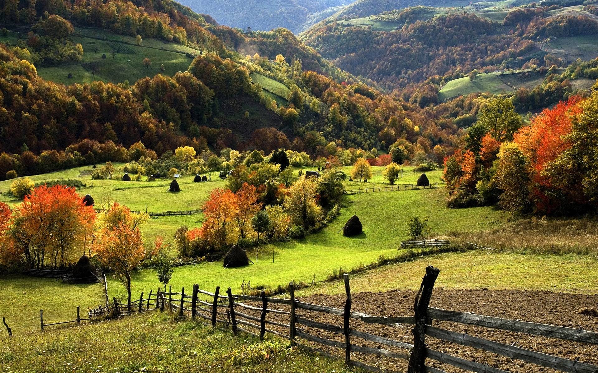 Countryside wallpaper