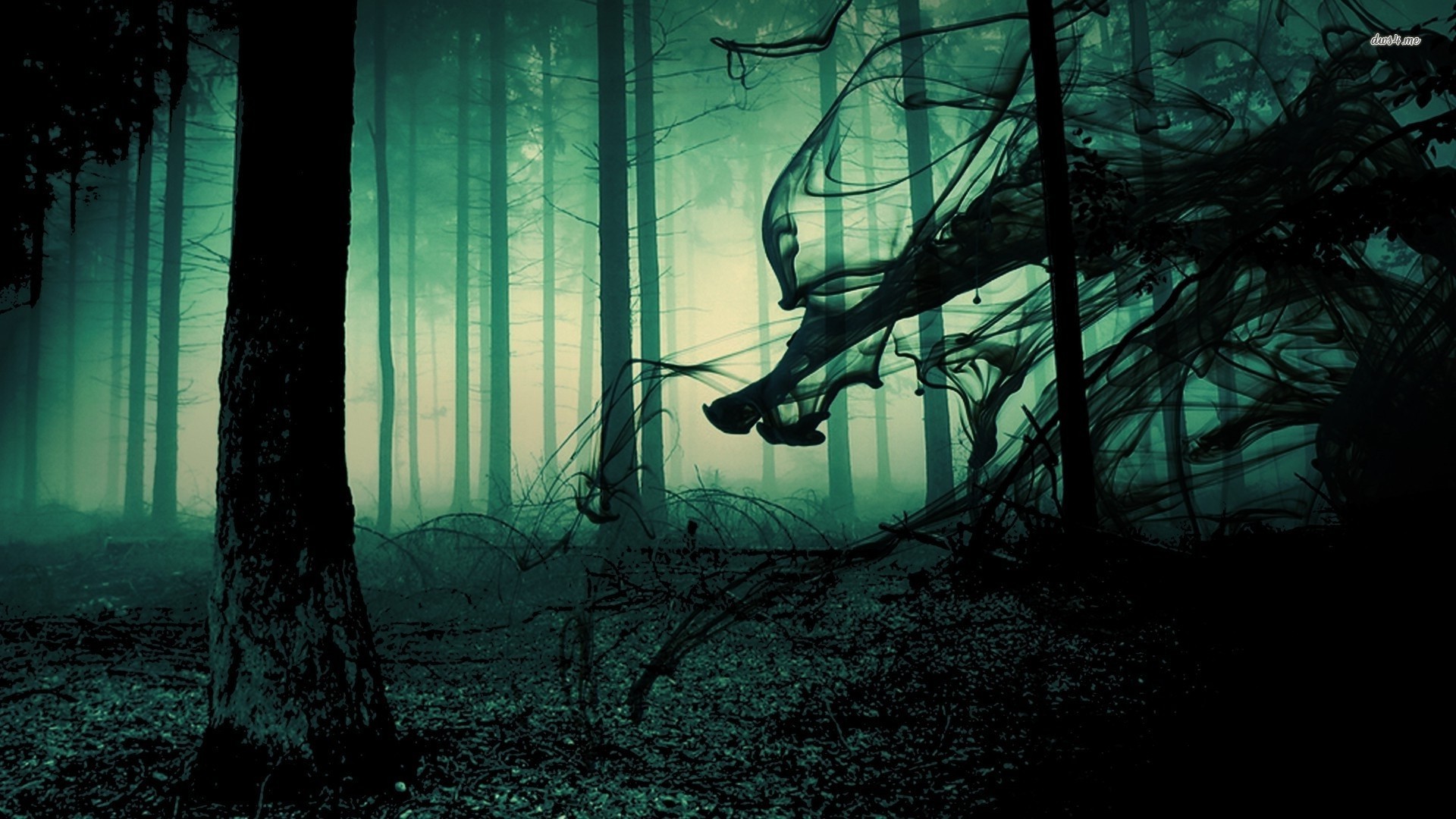 Creepy forest background