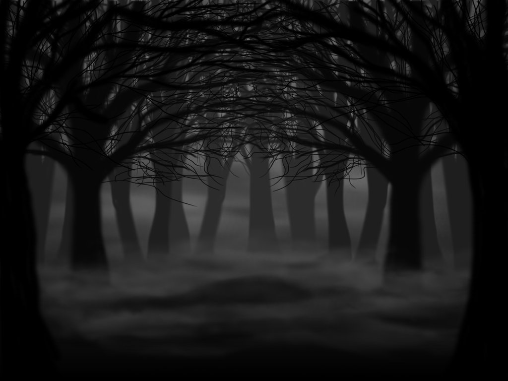 Forest Roblox Background
