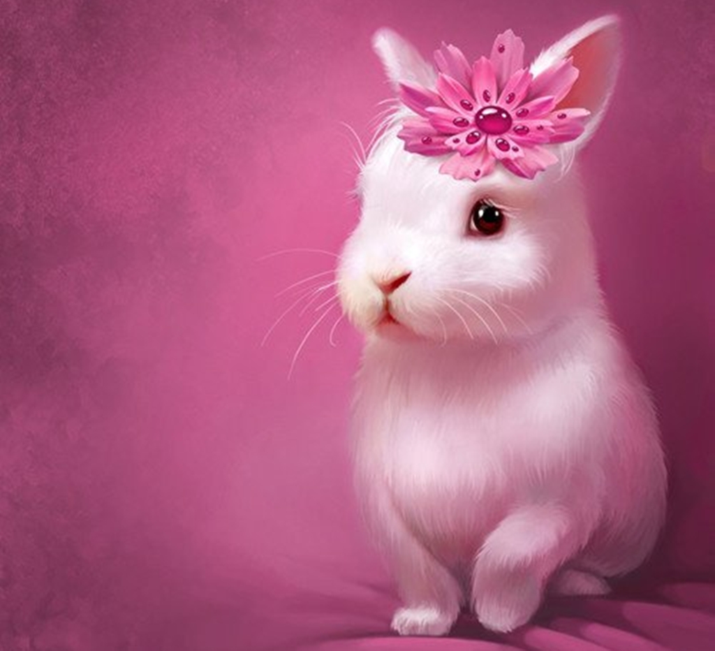 Cute bunny pictures