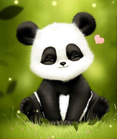 cute panda pictures #10