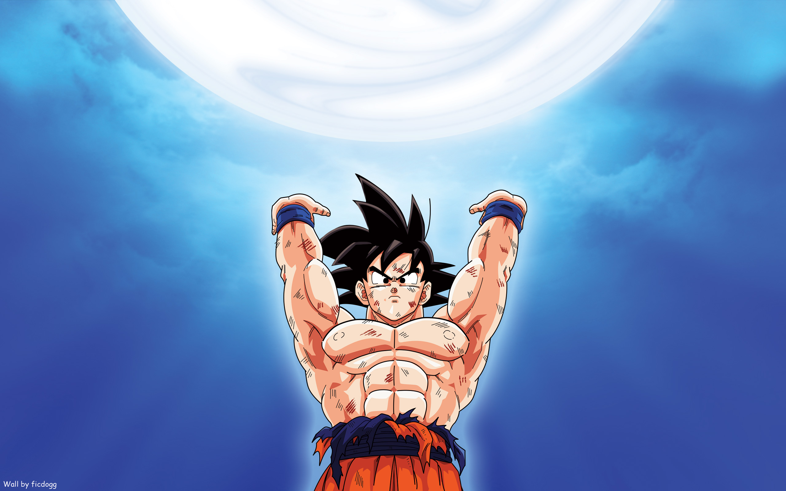558 Dragon Ball Z HD Wallpapers | Backgrounds - Wallpaper Abyss