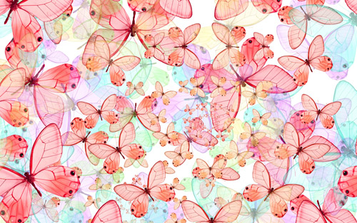 Butterfly Wallpaper Free Desktop Wallpapers Pc Backgrounds | pc