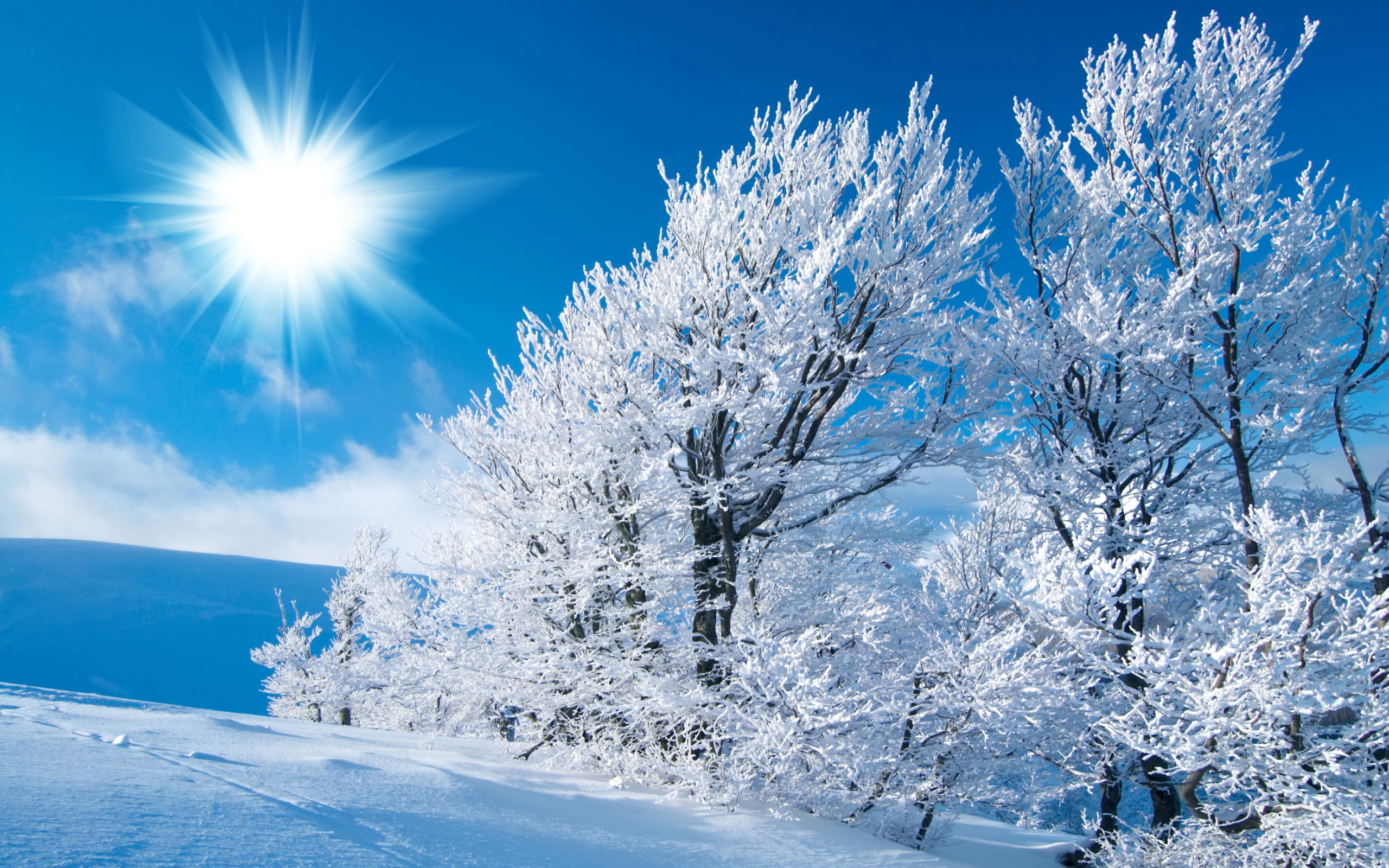 Winter Backgrounds Scenes Group (61+)