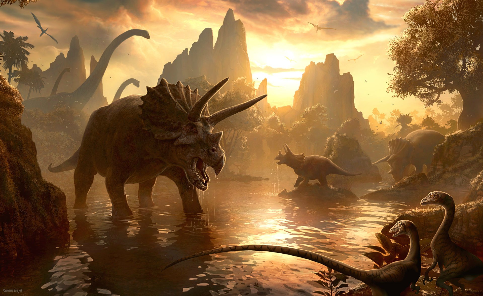 Dinosaurs backgrounds