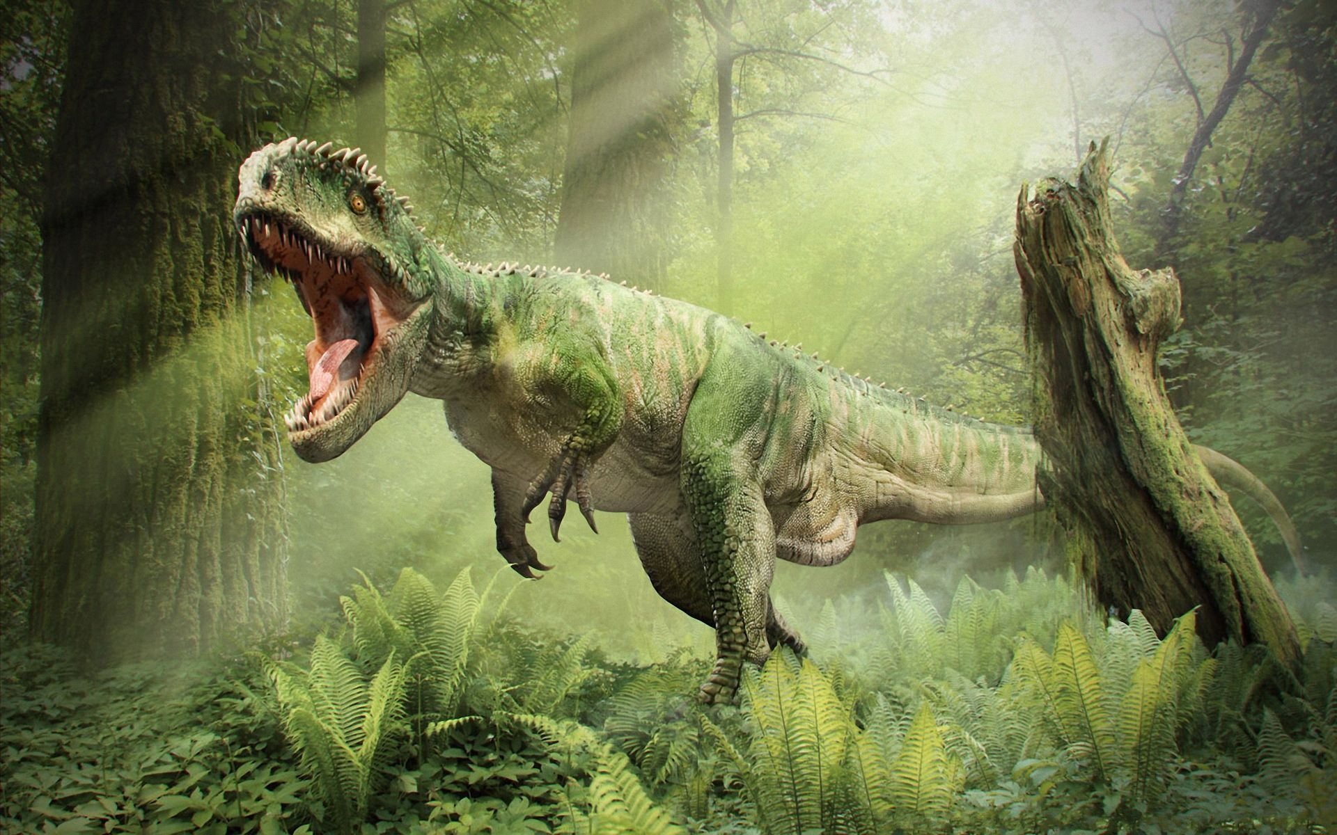 Dinosour wallpaper