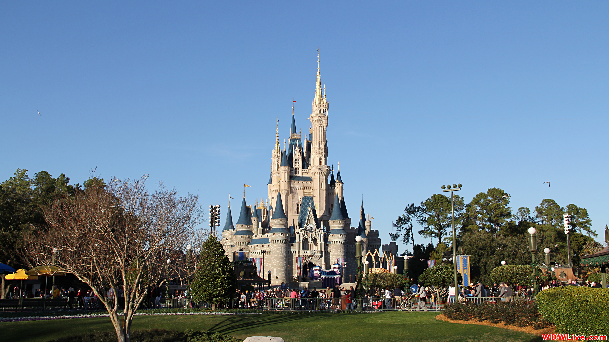 Disney world castle wallpaper