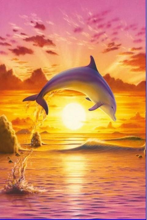 Dolphin wallpaper for mobile