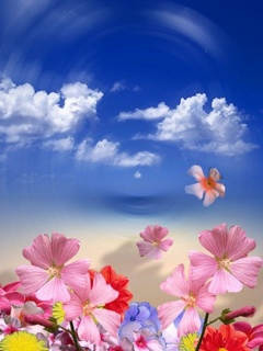 Free wallpaper for mobile phone