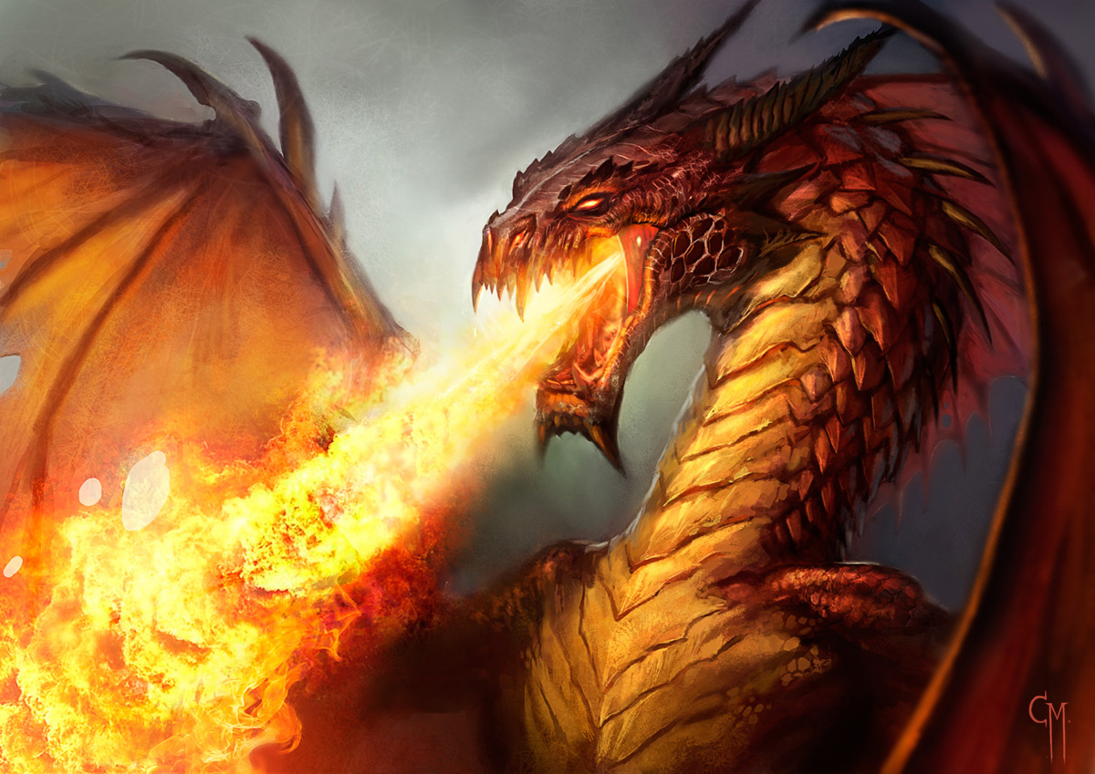 dragon image #1