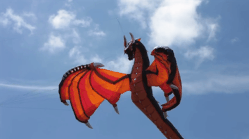 dragon image #23