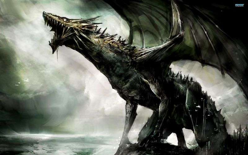 dragon image #15
