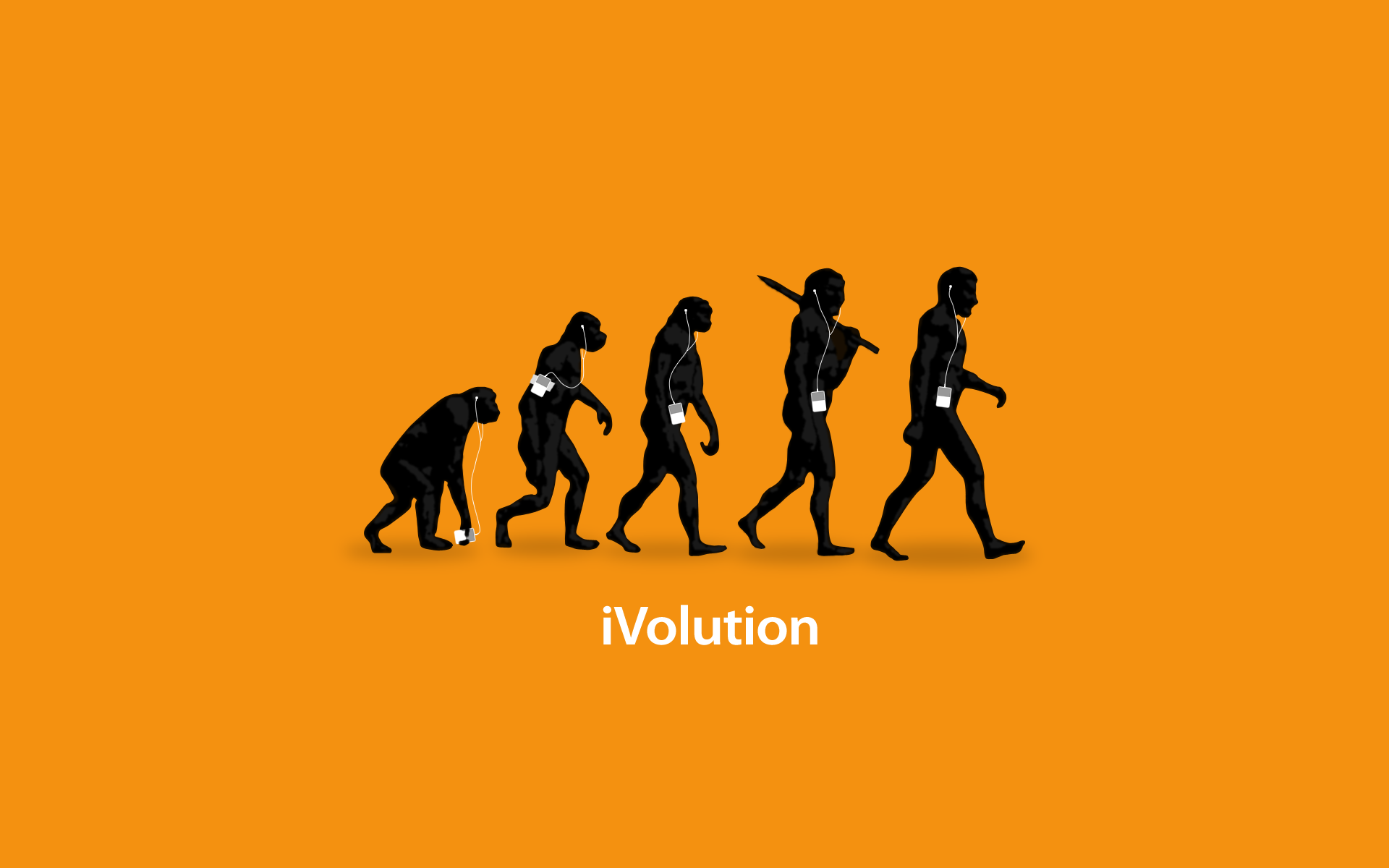 Evolution wallpaper