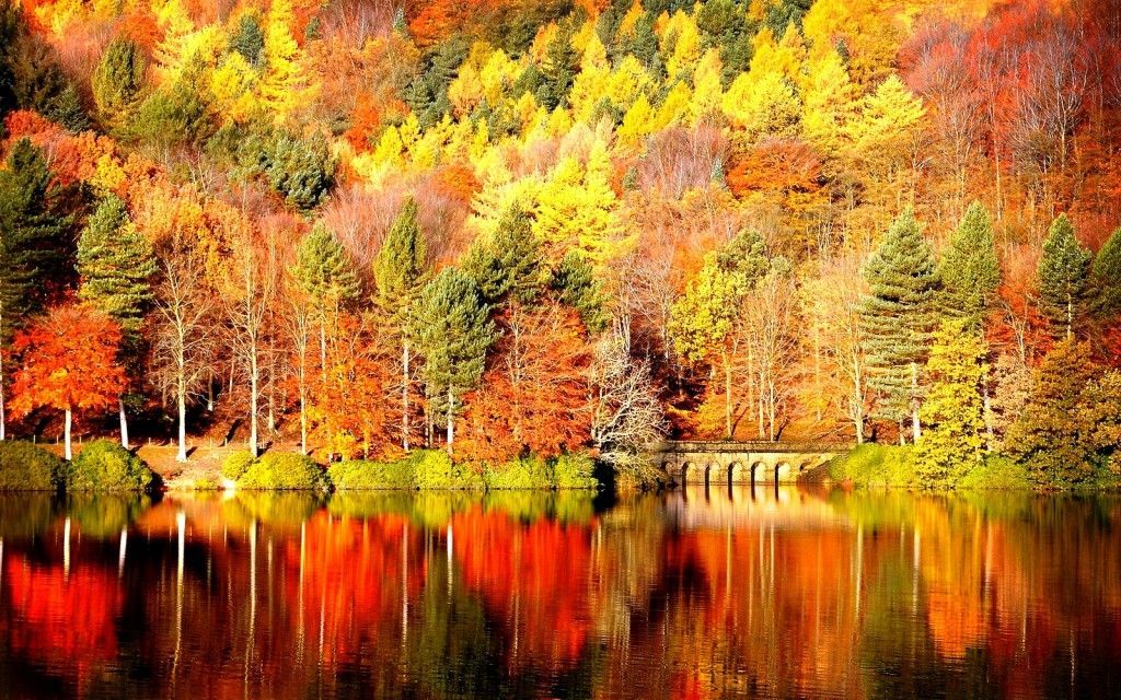 Fall background images for computer